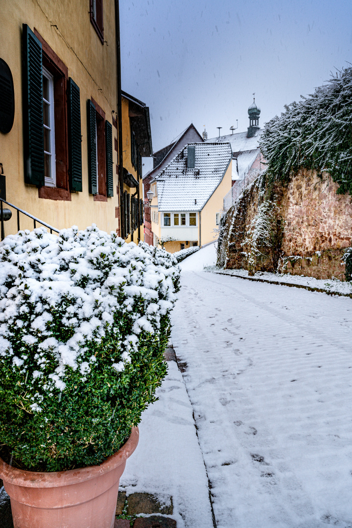 Ettenheim-Winterbild- Obere Rohanstrasse 