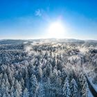 Ettenheimheimer Wald im Winter 