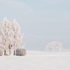 Etterschlag im Winter