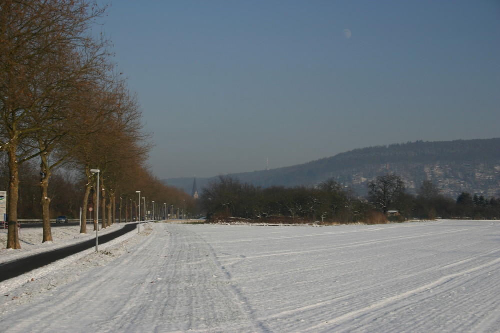 Ettlingen aus dem Süden