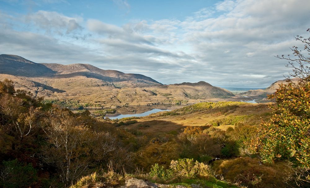 Etwas abseits vom bekannten" Ladies View" Killarney NP