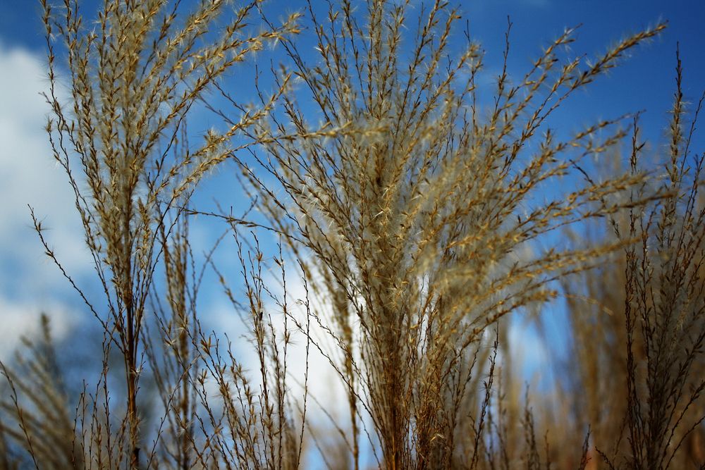 etwas blauer Himmel