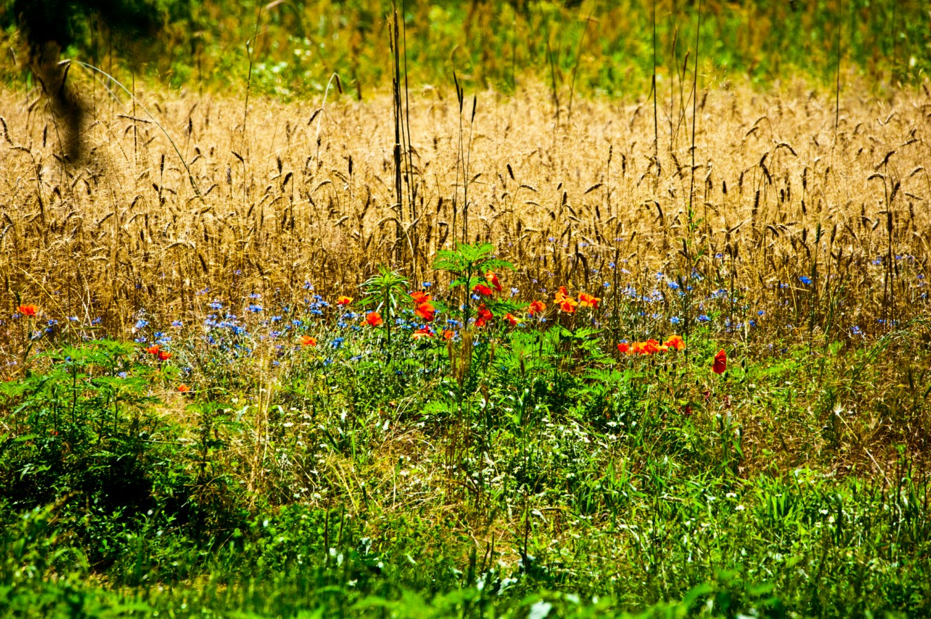 Etwas buntes