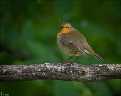 Etwas entrüstet ...