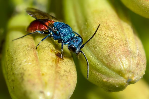 Etwas Farbe für den Winter!