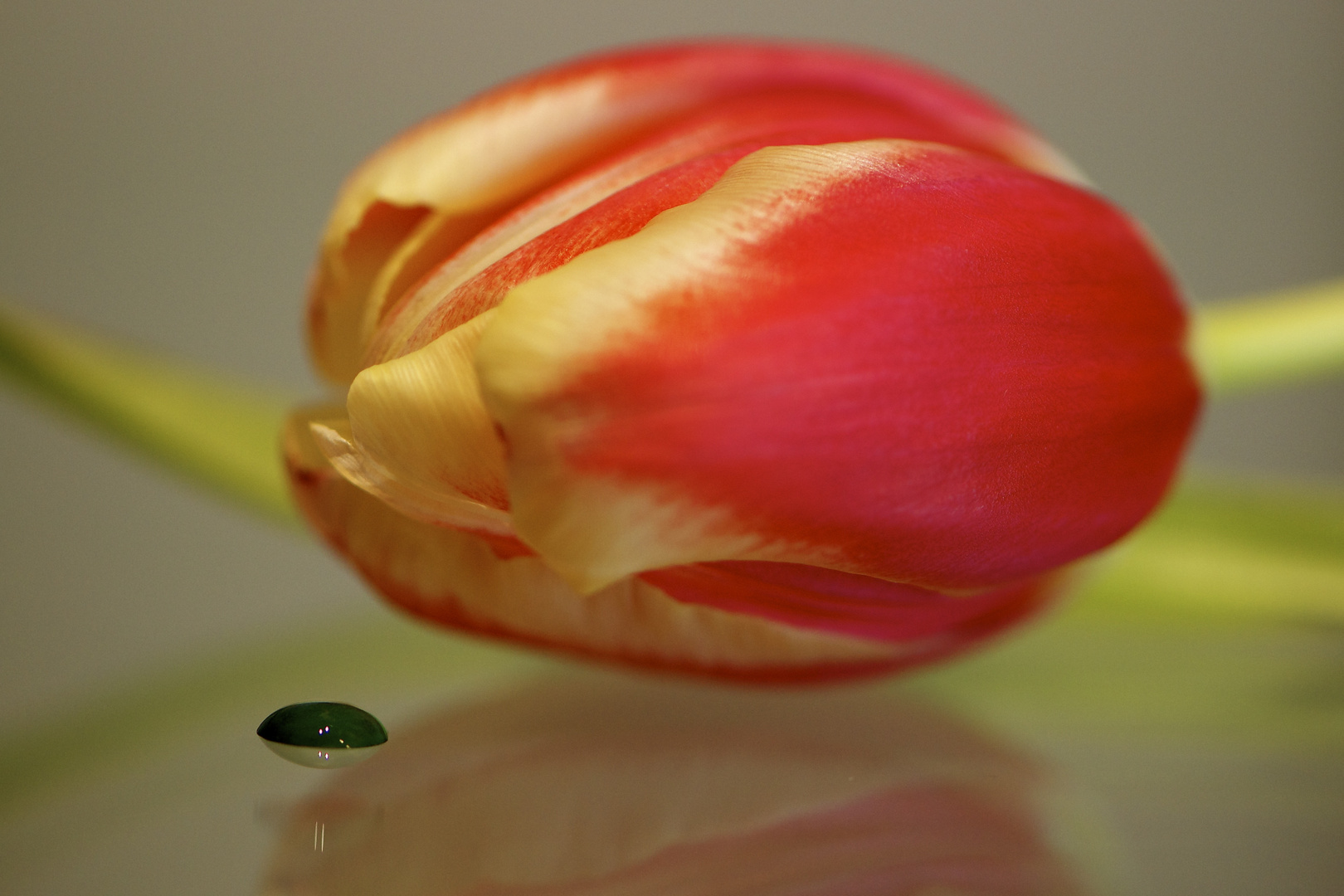 Etwas Farbe für's Herz