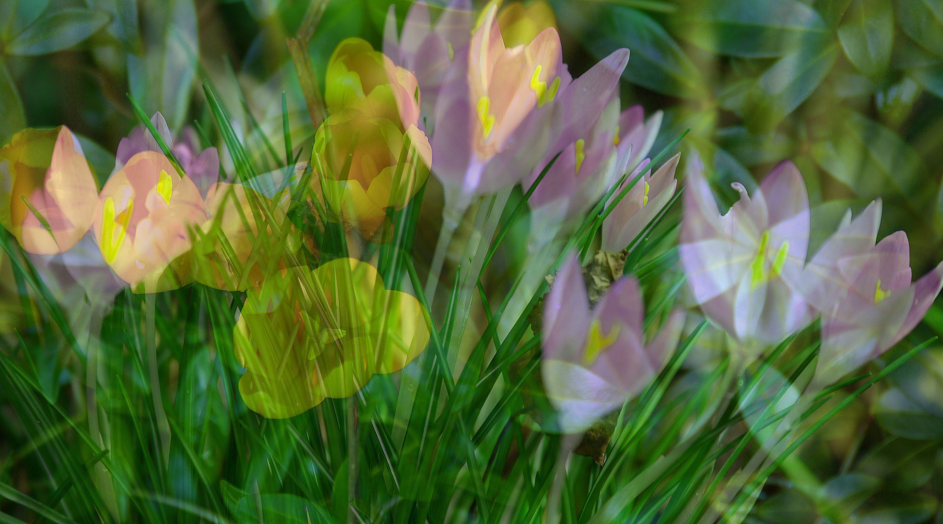 Etwas Frühling