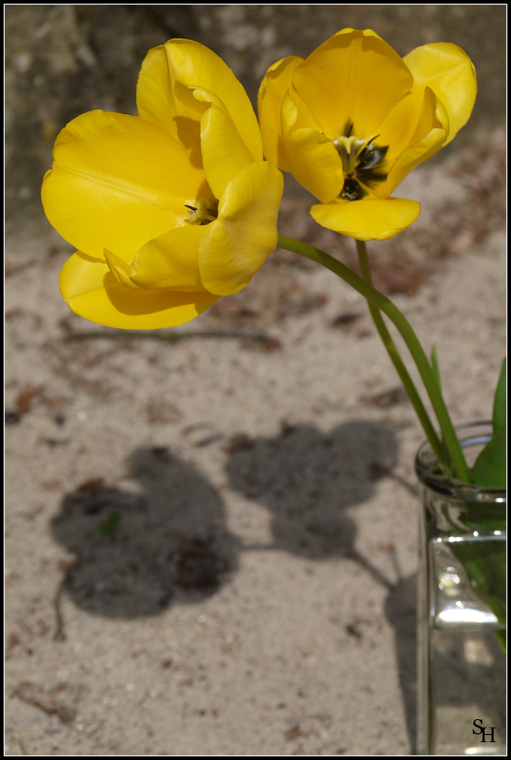 Etwas Frühling