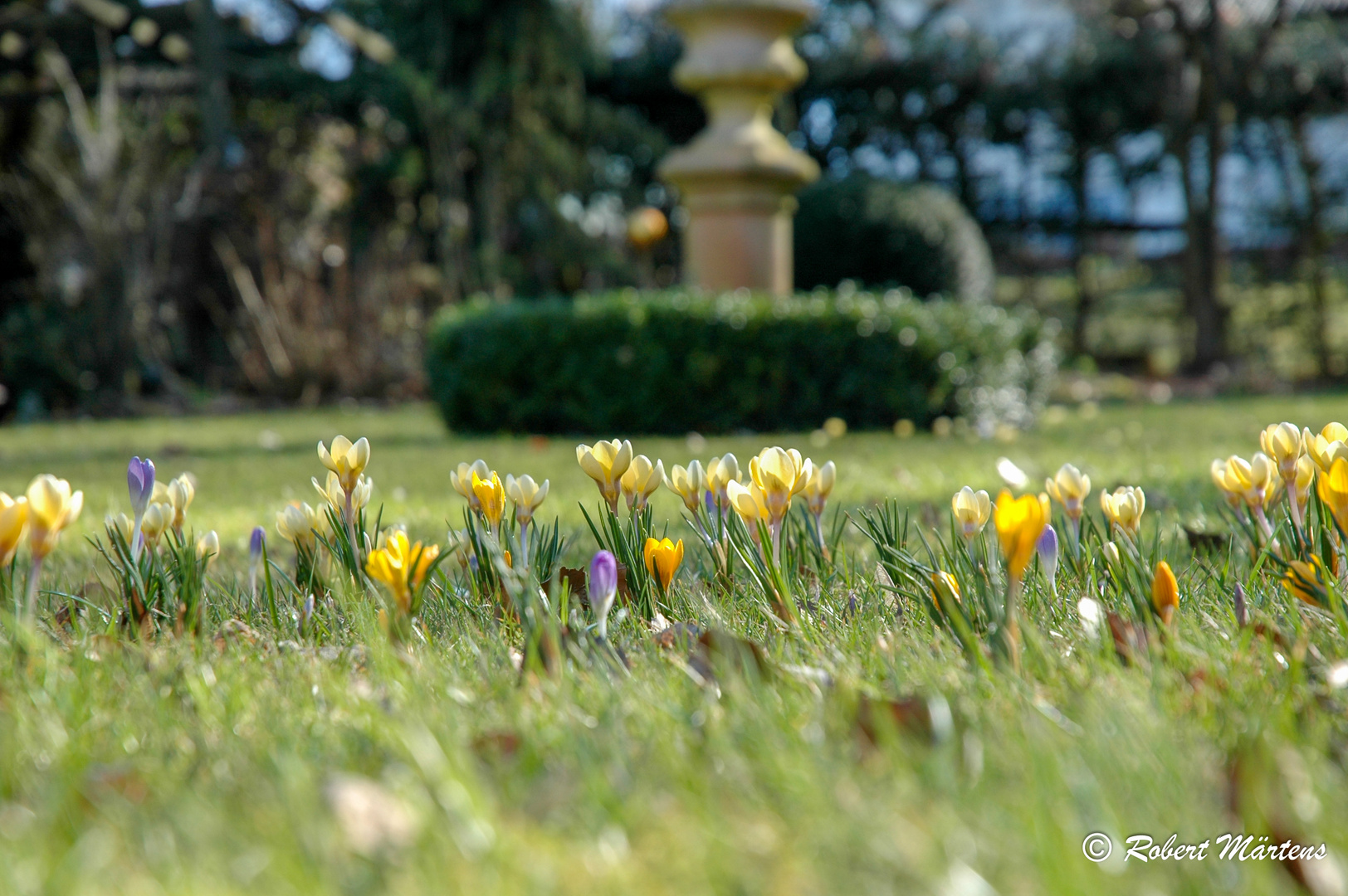 Etwas Frühling gefällig? 