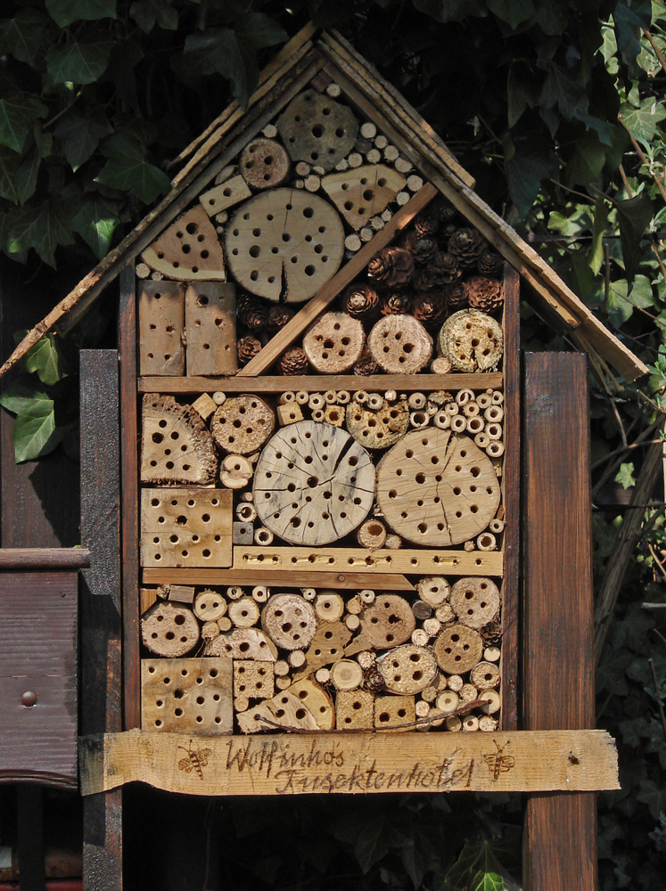 Etwas für die Bienchen