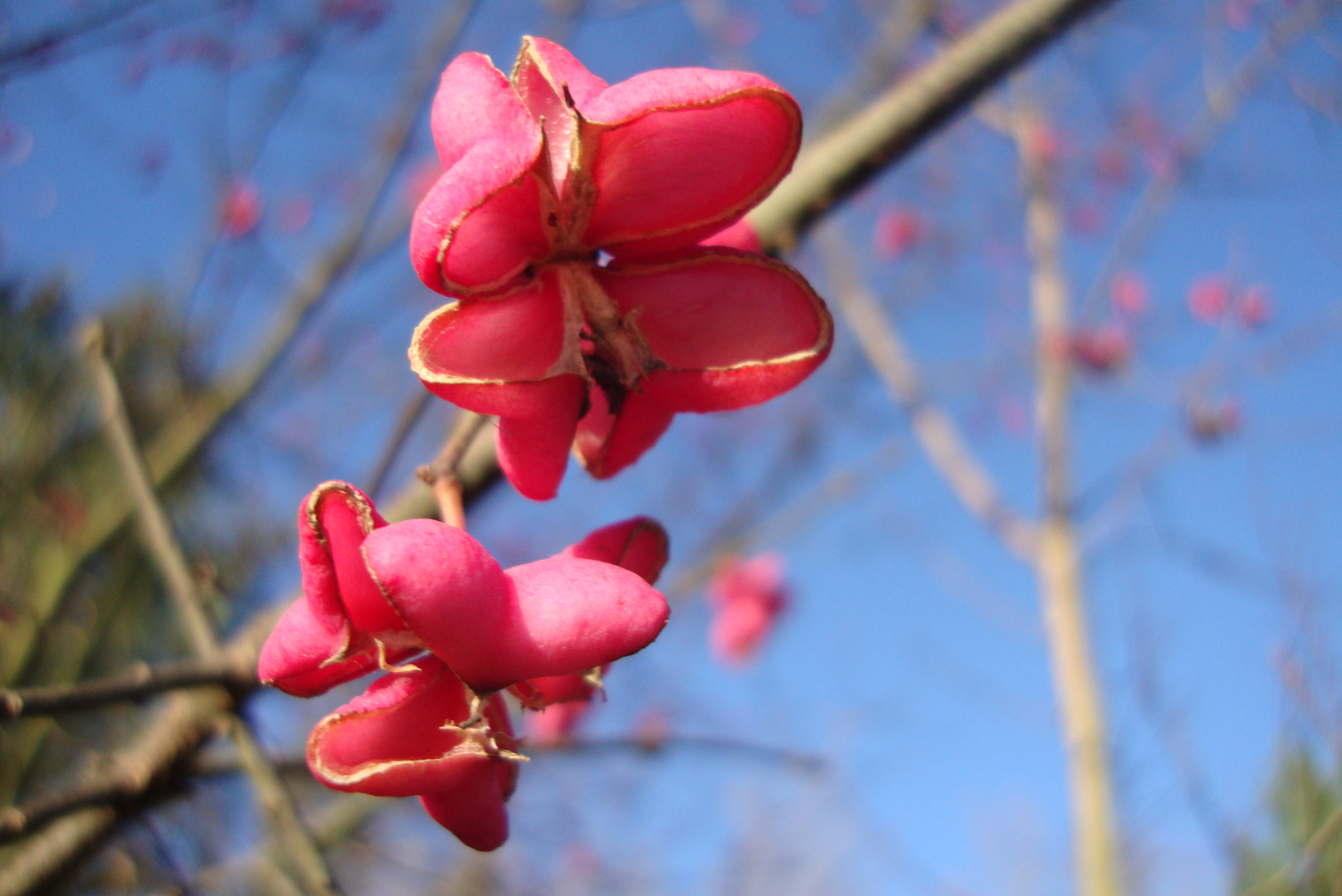 etwas gegen den Winterblues