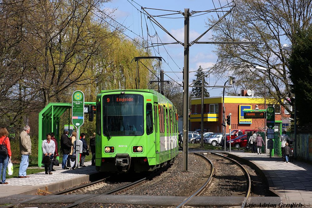 Etwas Grünes im grünen