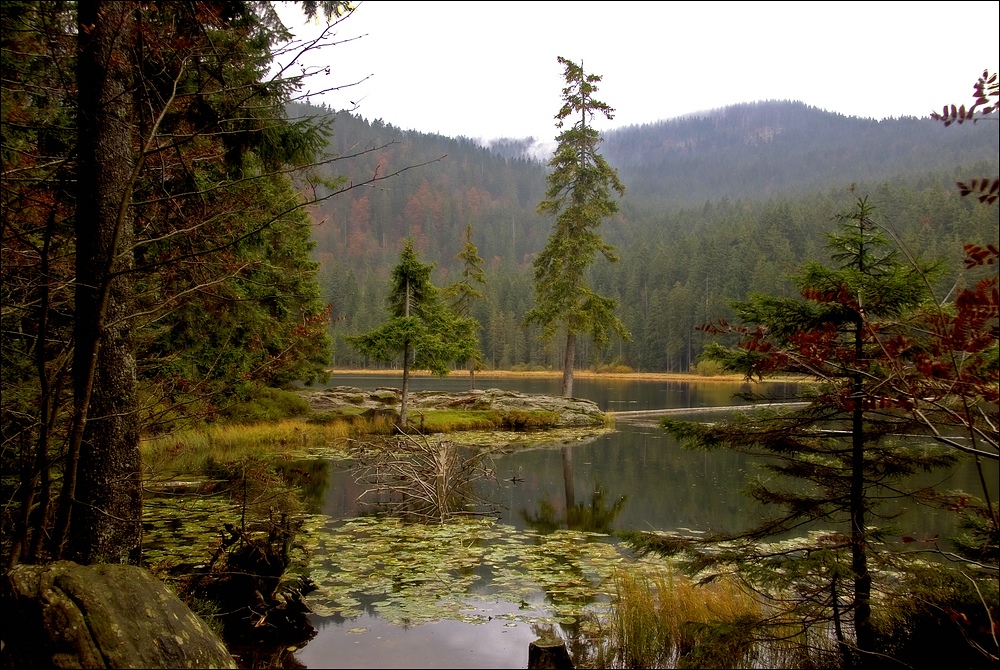 Etwas Kanada in Bayern