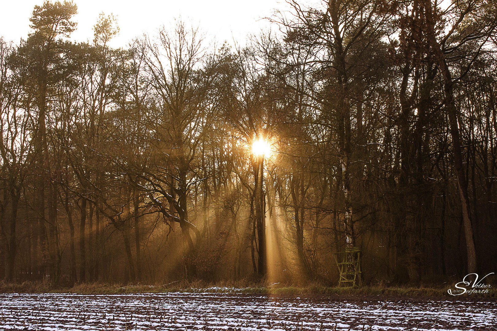 etwas Licht am Waldrand