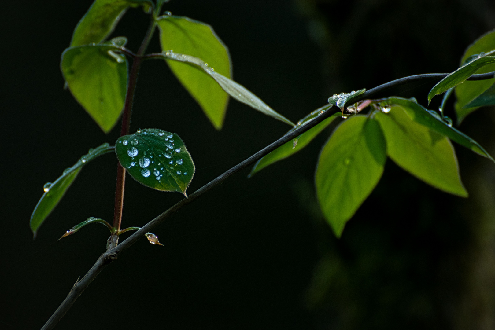 etwas Licht im Dunkel