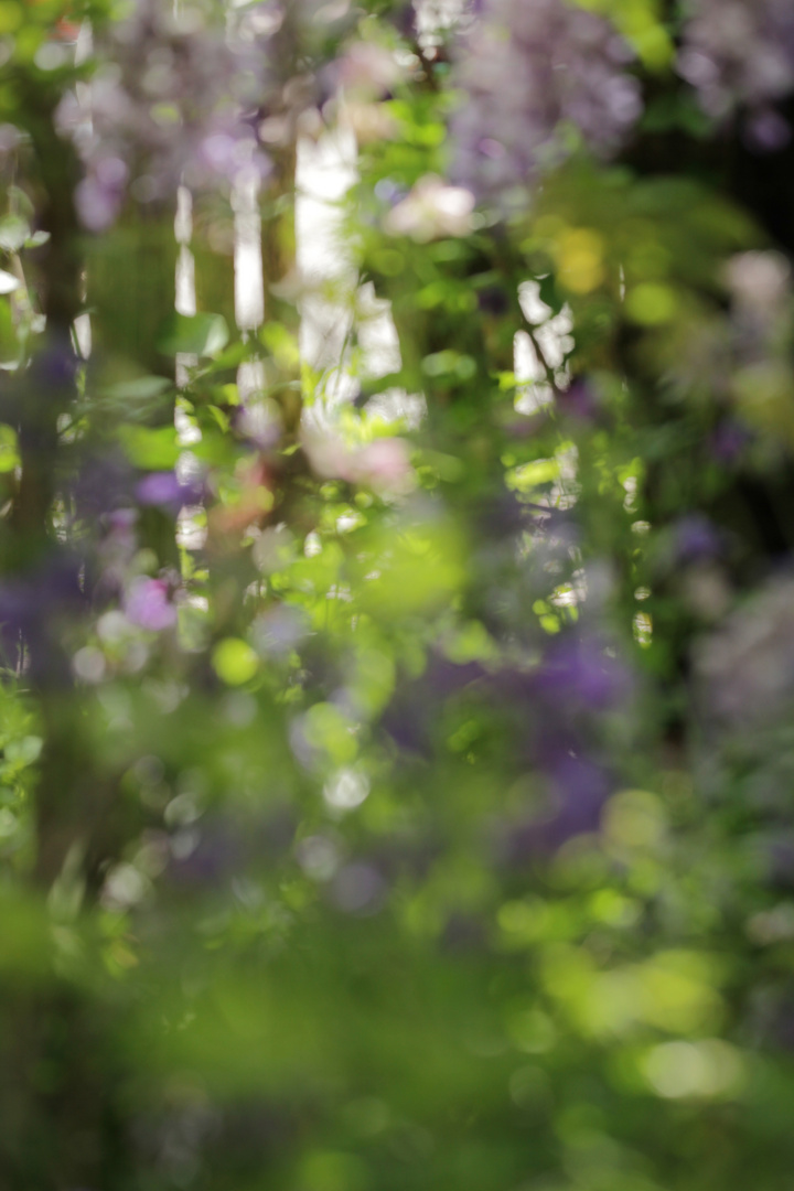 Etwas mehr "Anker" fürs Auge - der Gartenzaun in Neukappl, ein bißchen gegenständlicher . . .