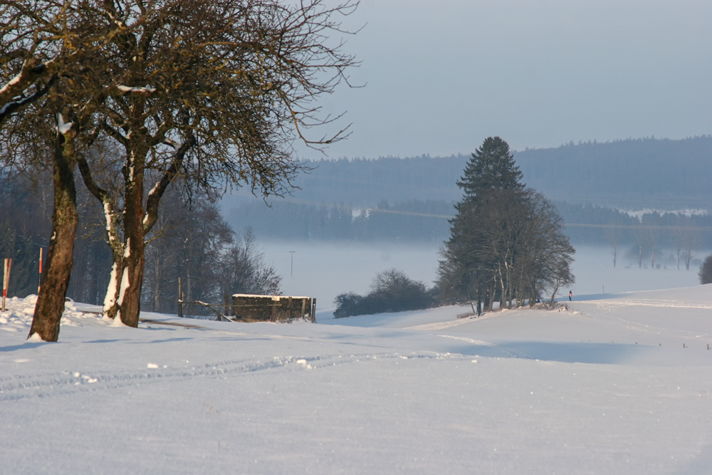 Etwas mehr Hauch......vom Winter