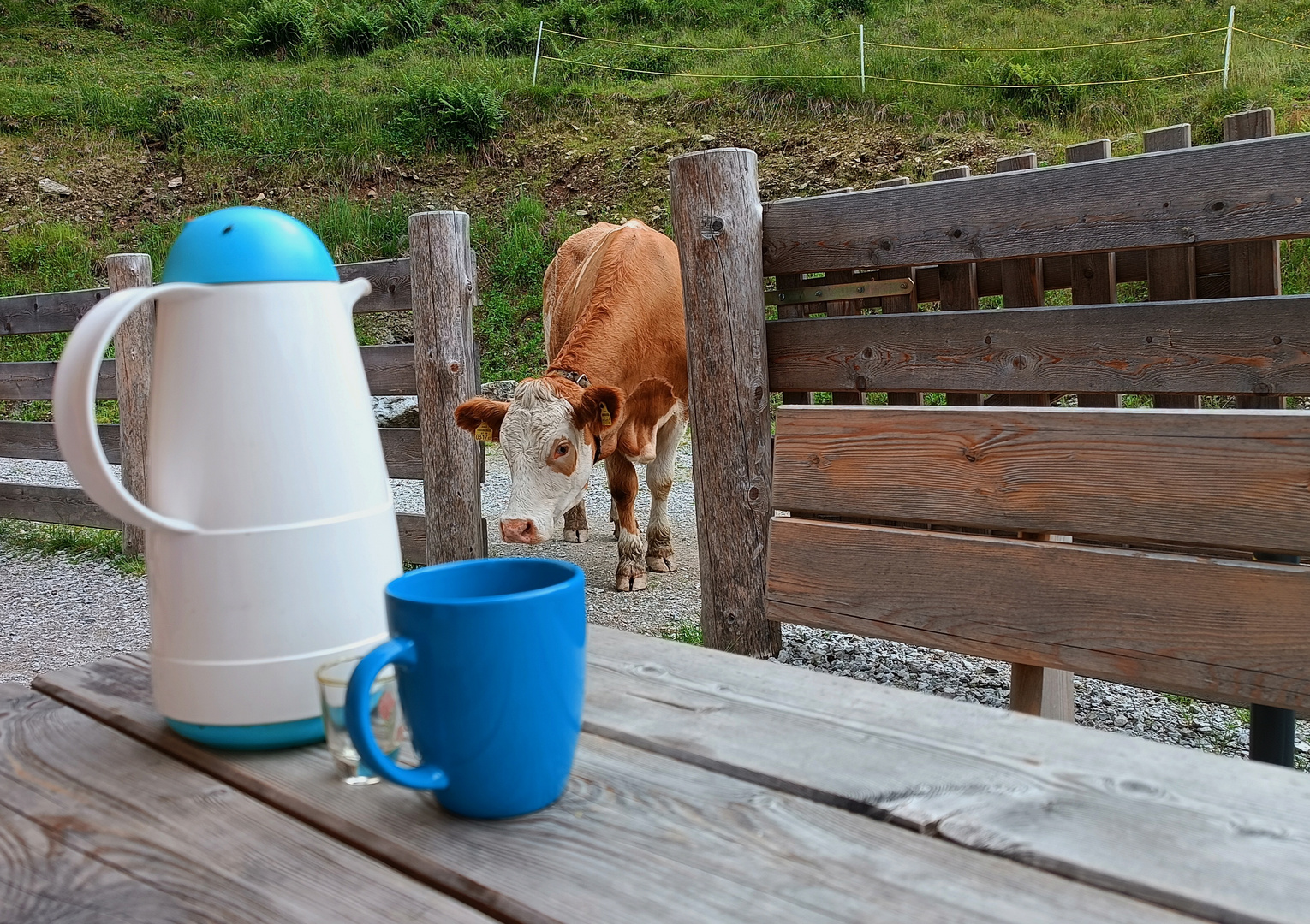 Etwas Milch gefällig ? ;-)