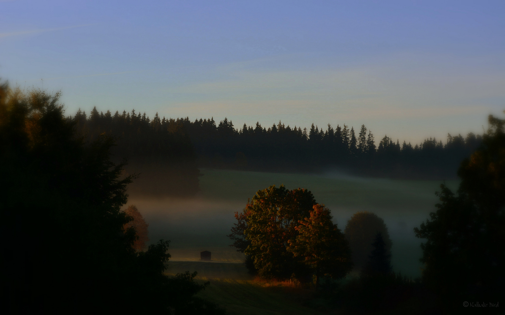 etwas Nebel am Morgen