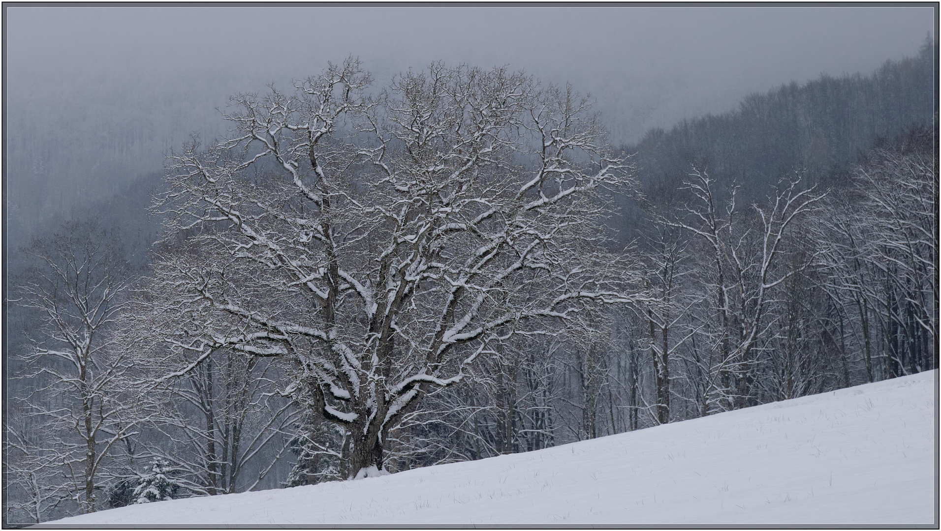 Etwas Neuschnee