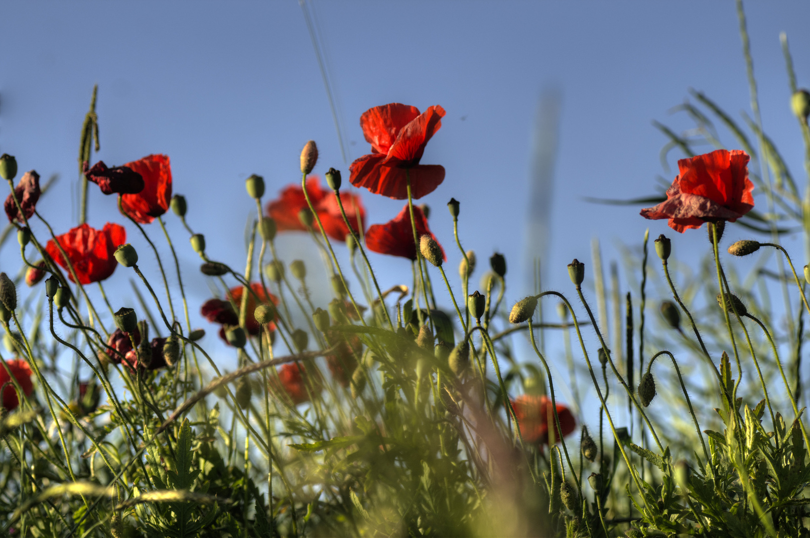 Etwas Rot im Blau