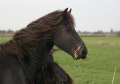 Etwas Rückenwind, etwas Ohren steif halten, bisschen Gelassenheit