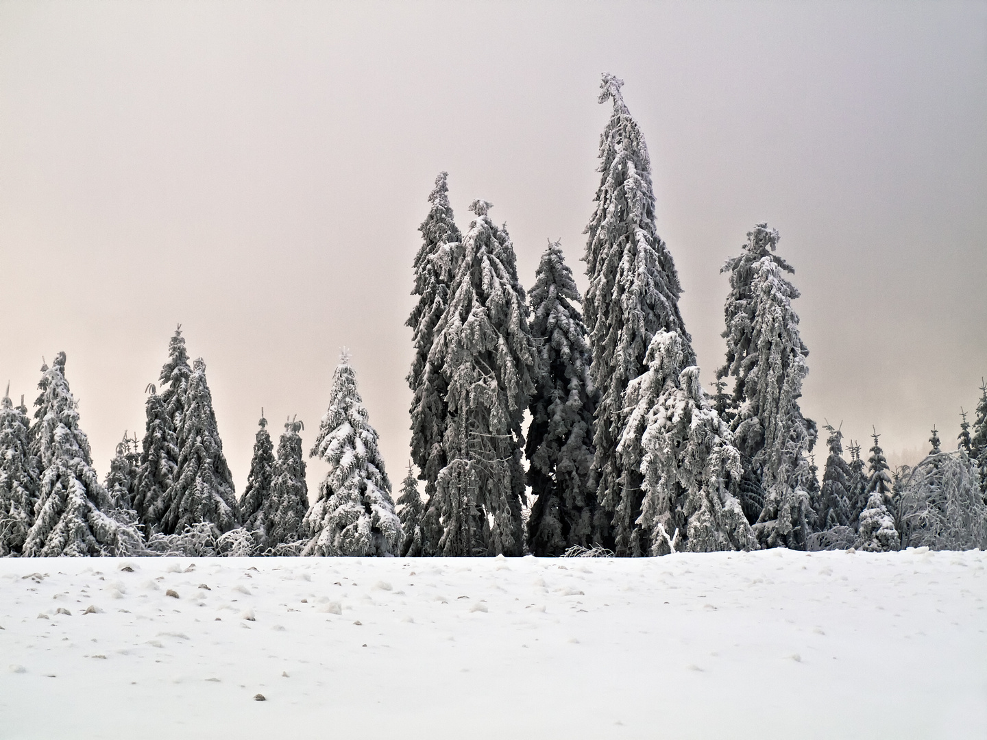 Etwas Schnee am Zollstock