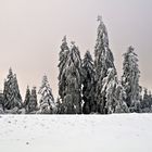 Etwas Schnee am Zollstock