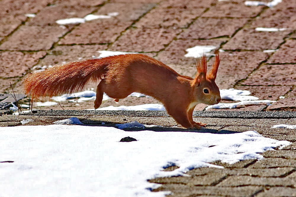 etwas Schnee lag noch...