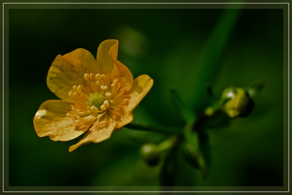 Etwas Sonne tanken / To catch some rays