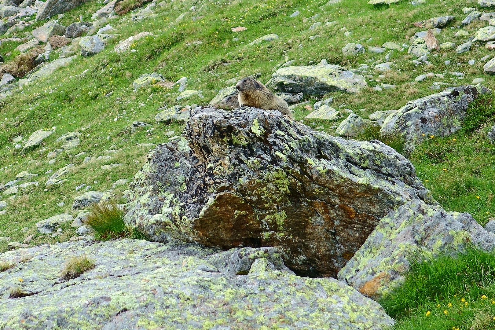 etwas sonnelen und gleichzeitig alles im Blick