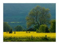 ...etwas verträumte Regenlandschaft im späten Mai...