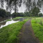 Etwas viel Wasser in der Bode