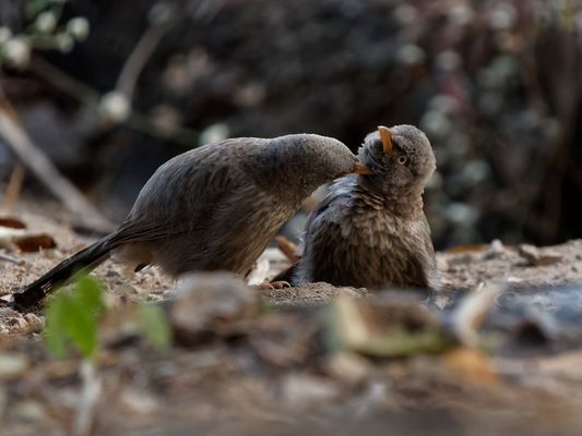 Etwas weiter links, bitte!