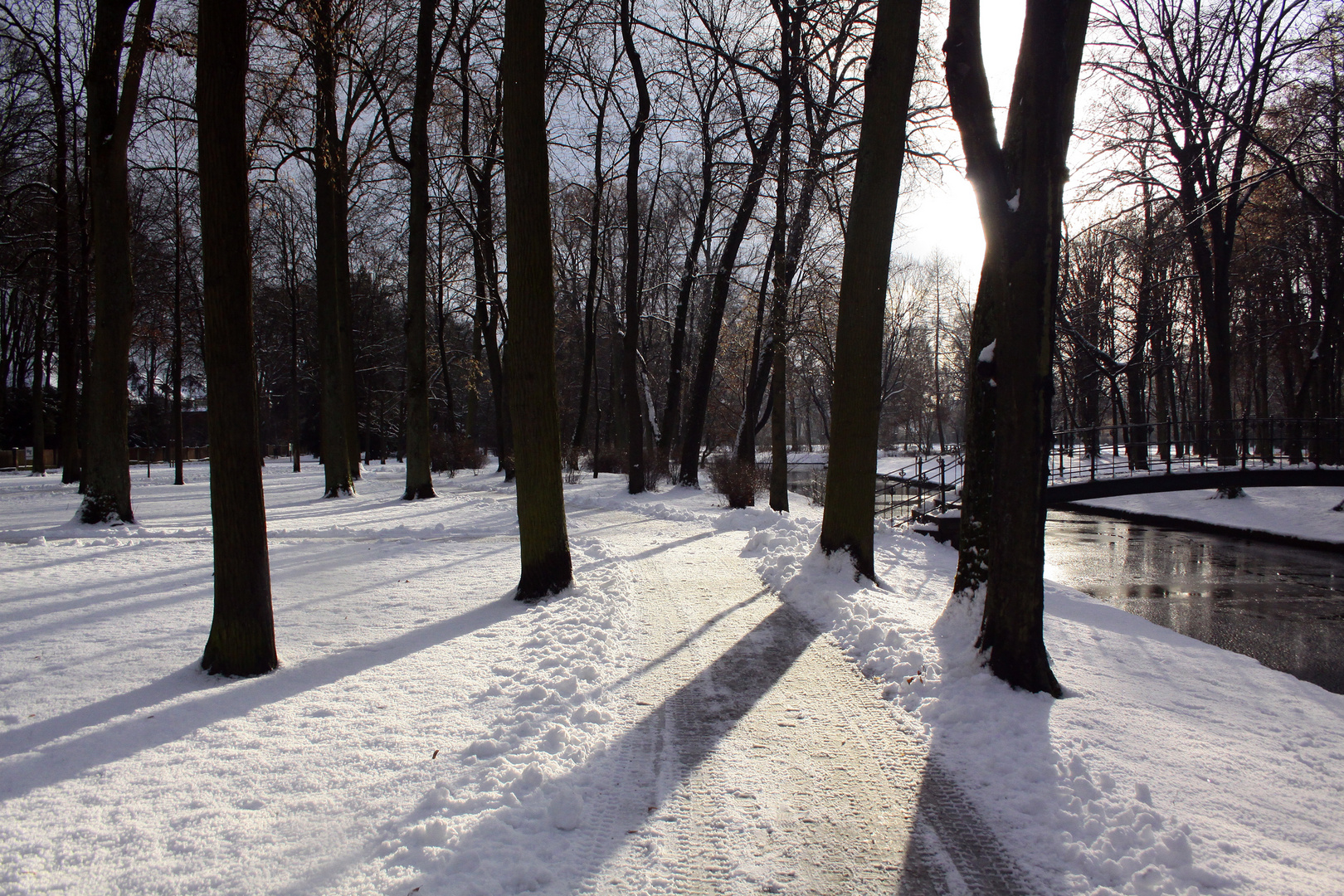 Etwas Winter im Hofgarten Bayreuth....