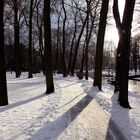 Etwas Winter im Hofgarten Bayreuth....