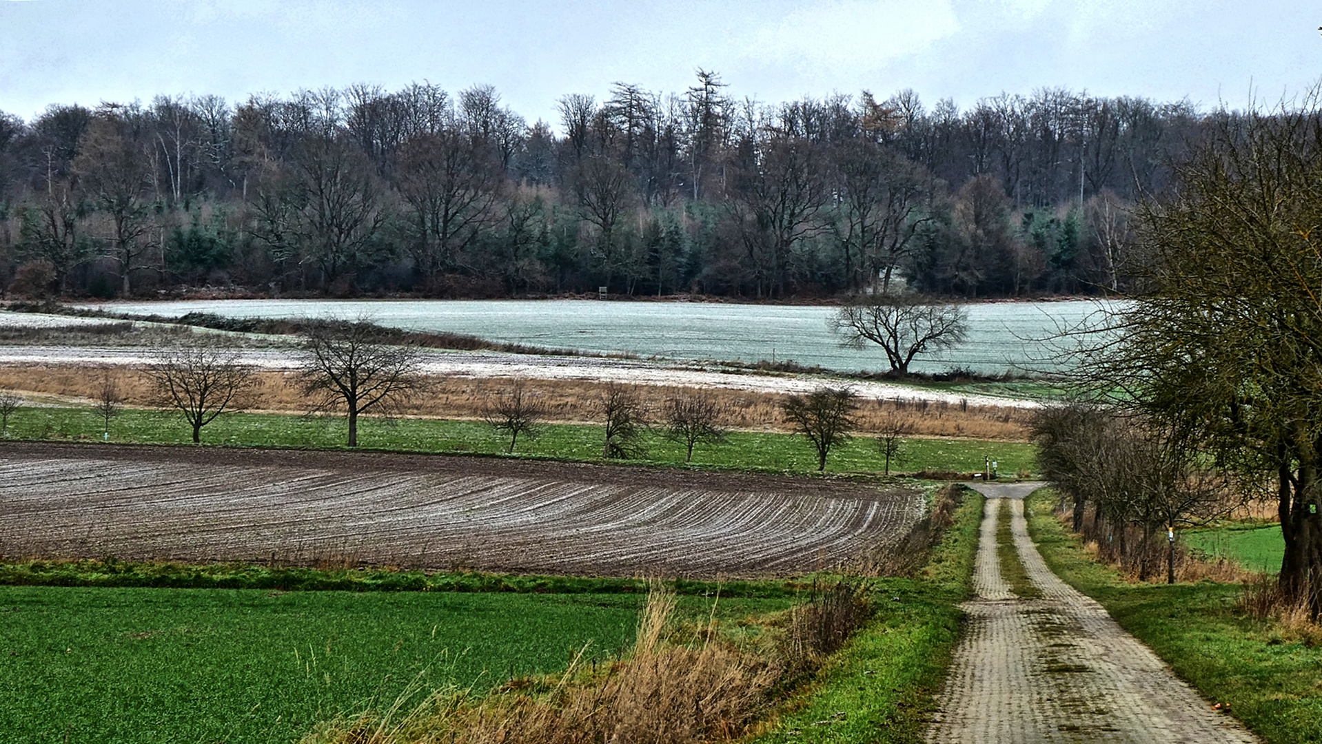 Etwas Winter im Solling