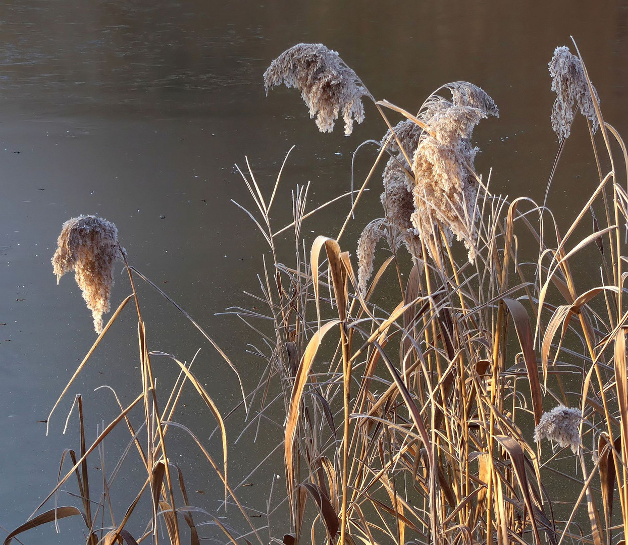 Etwas winterlich