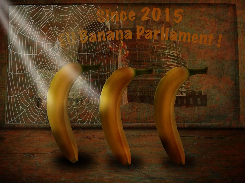 EU Banana Parlament