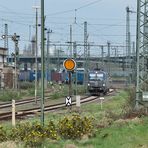 EU46-519 im Güterbahnhof Neuss