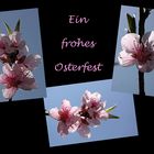 Euch allen.............