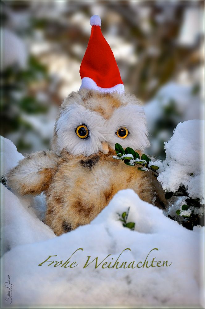 Euch allen ein Fest der Besinnlichkeit und Freude! Foto & Bild  weihnachten, nikon, spezial 