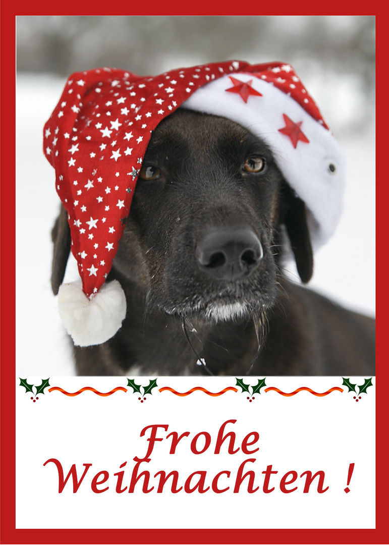 Euch allen ein frohes Fest!