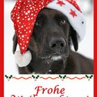 Euch allen ein frohes Fest!