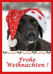 Euch allen ein frohes Fest!