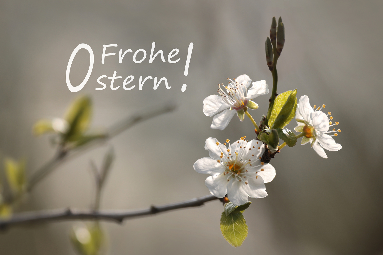 Euch Allen ein frohes Osterfest ...!