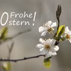 Euch Allen ein frohes Osterfest ...!