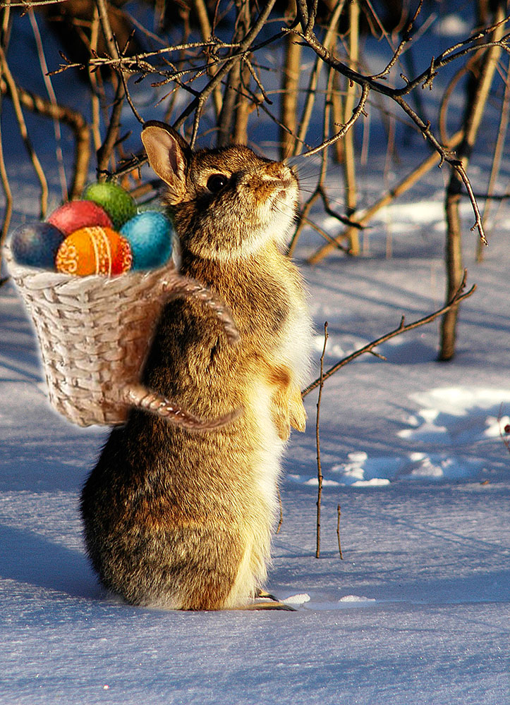 Euch allen ein frohes Osterfest!