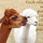 Euch allen ein gutes Jahr 2024!