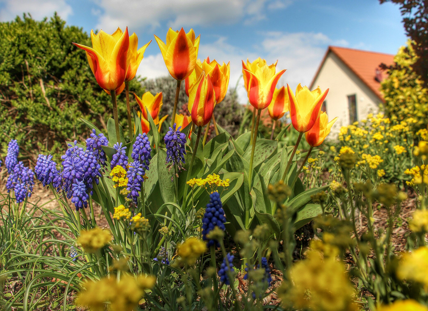 Euch allen einen schönen Frühling